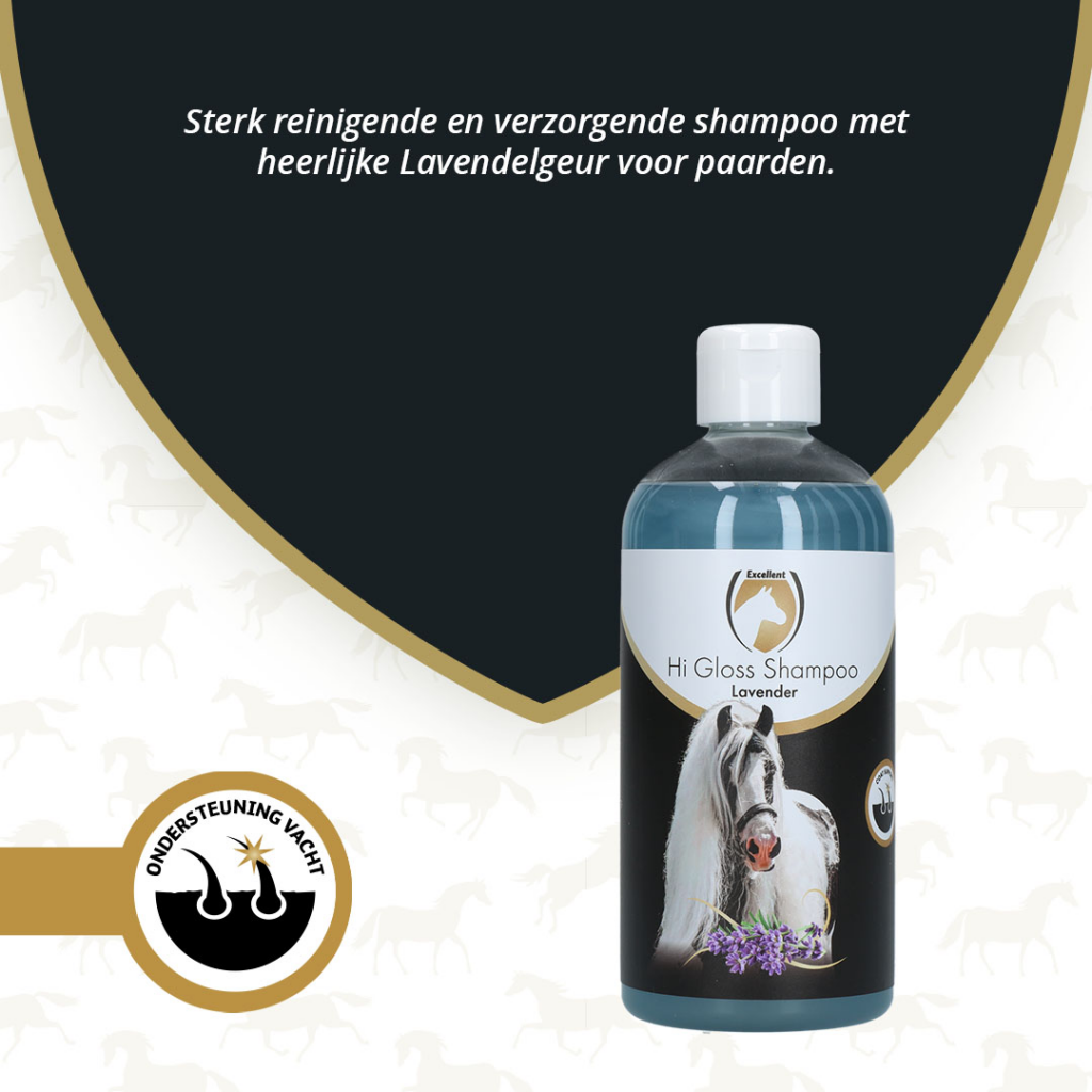 Excellent Horse Hi Gloss Shampoo