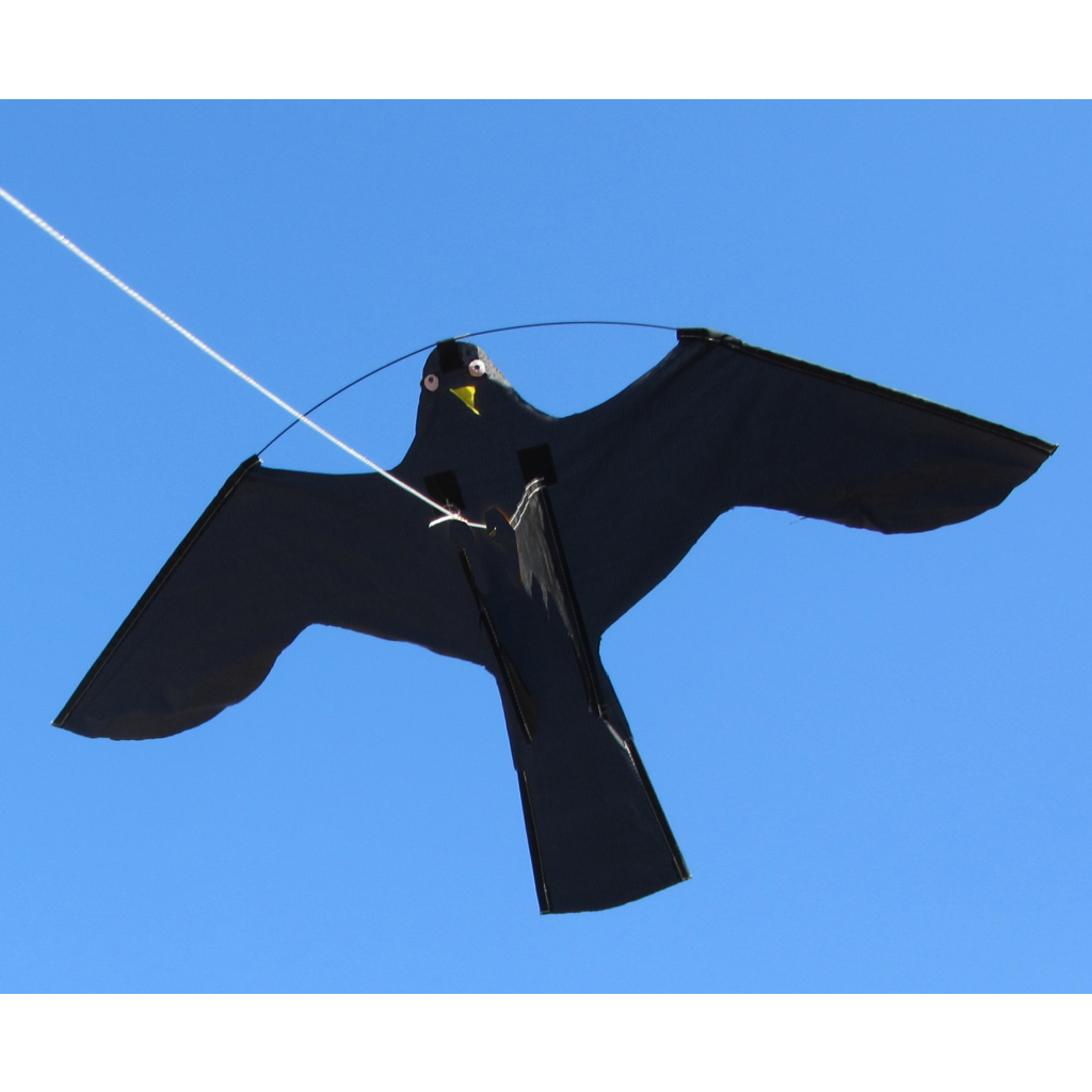 Birdshield