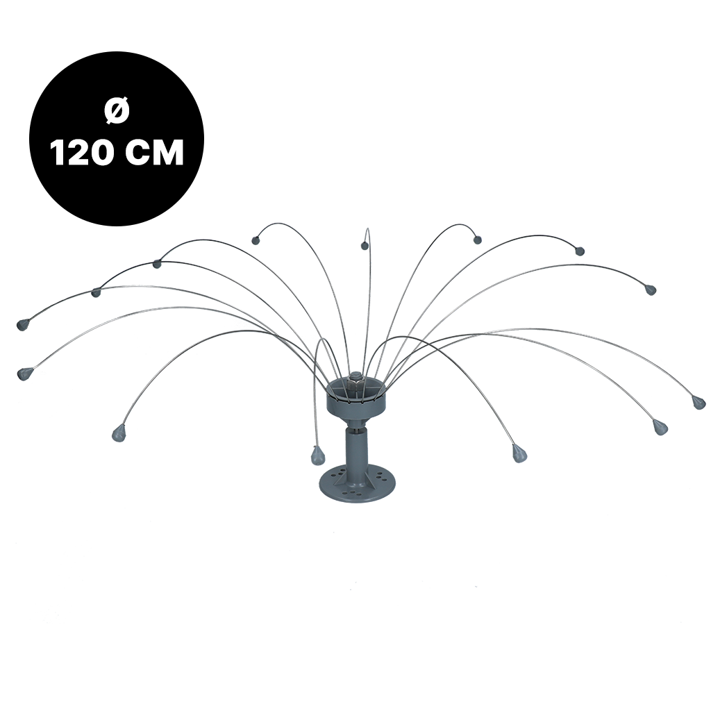 Birdshield Longlegs