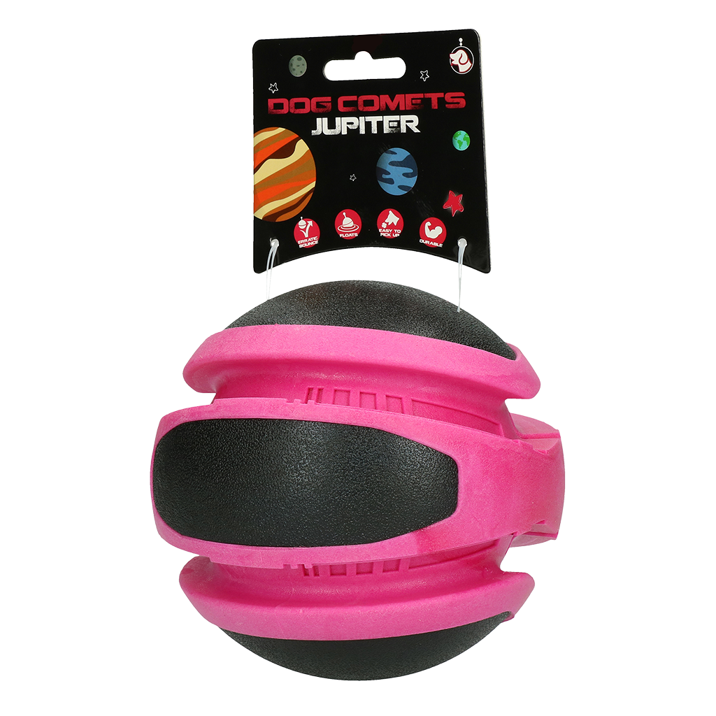 Dog Comets Planets