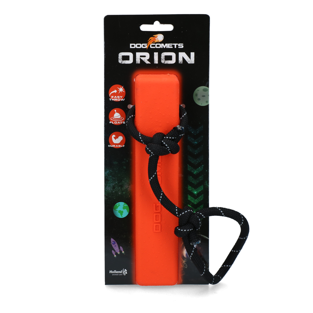 Dog Comets Orion