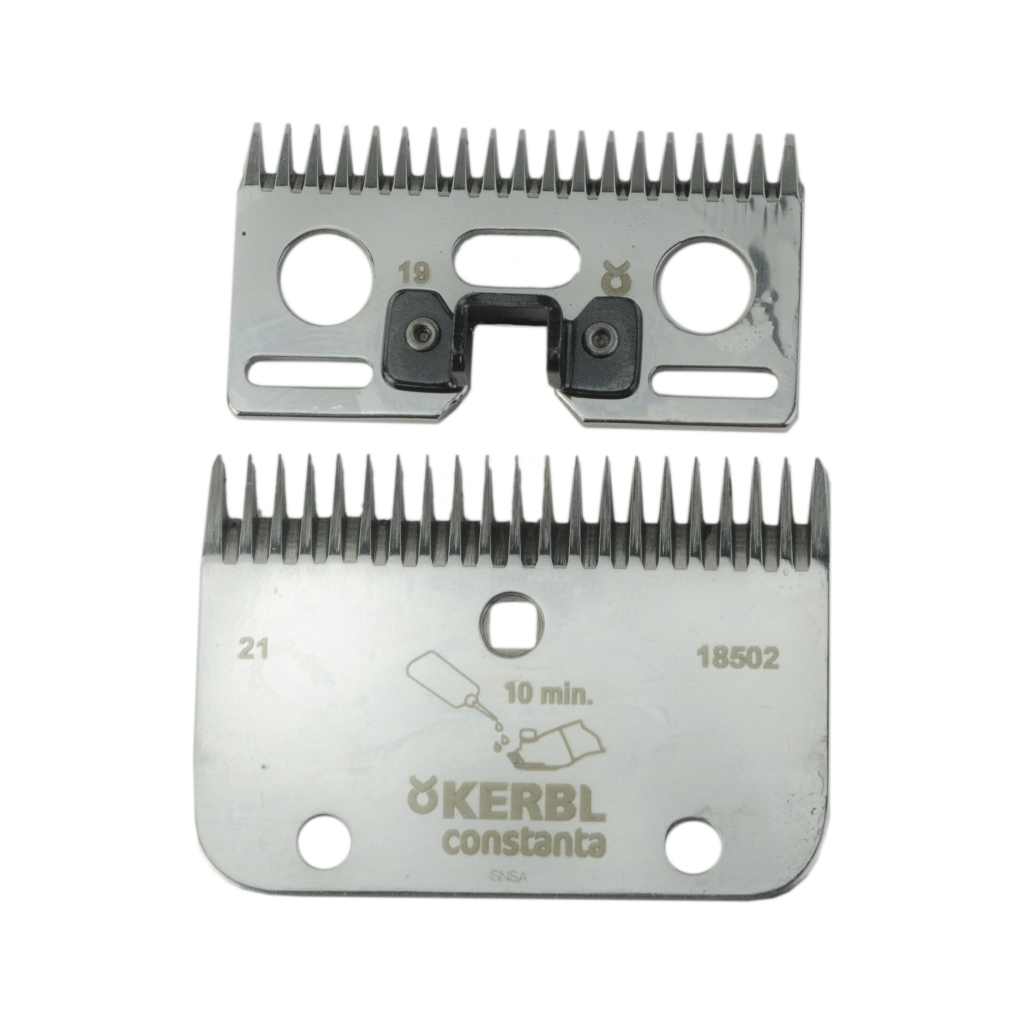 Constanta 2 Messenset