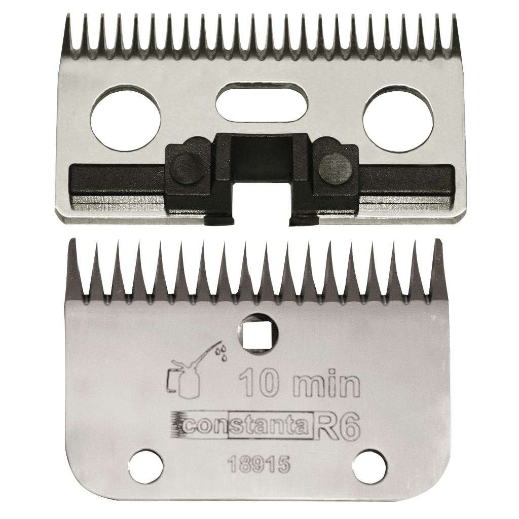 Constanta Rodeo Messenset