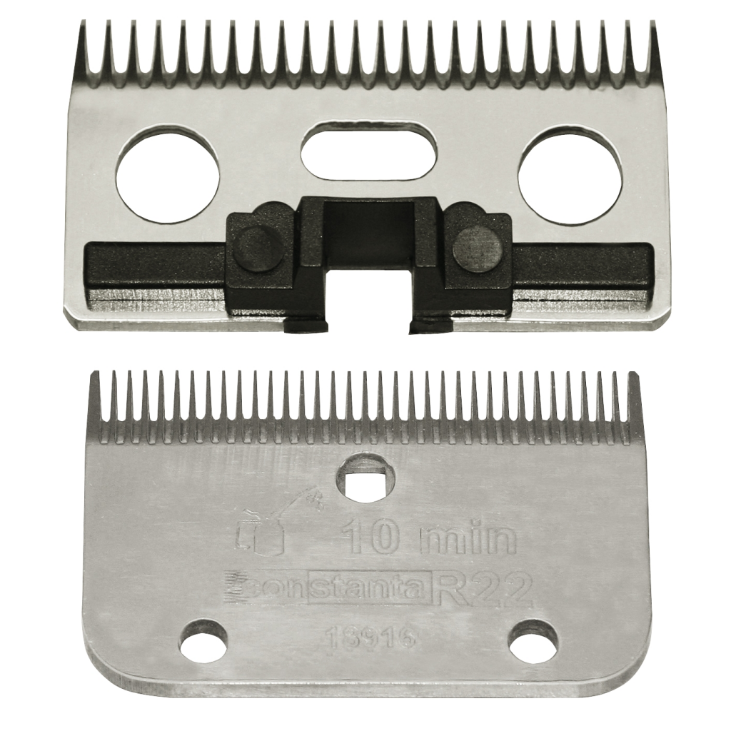 Constanta Rodeo Messenset