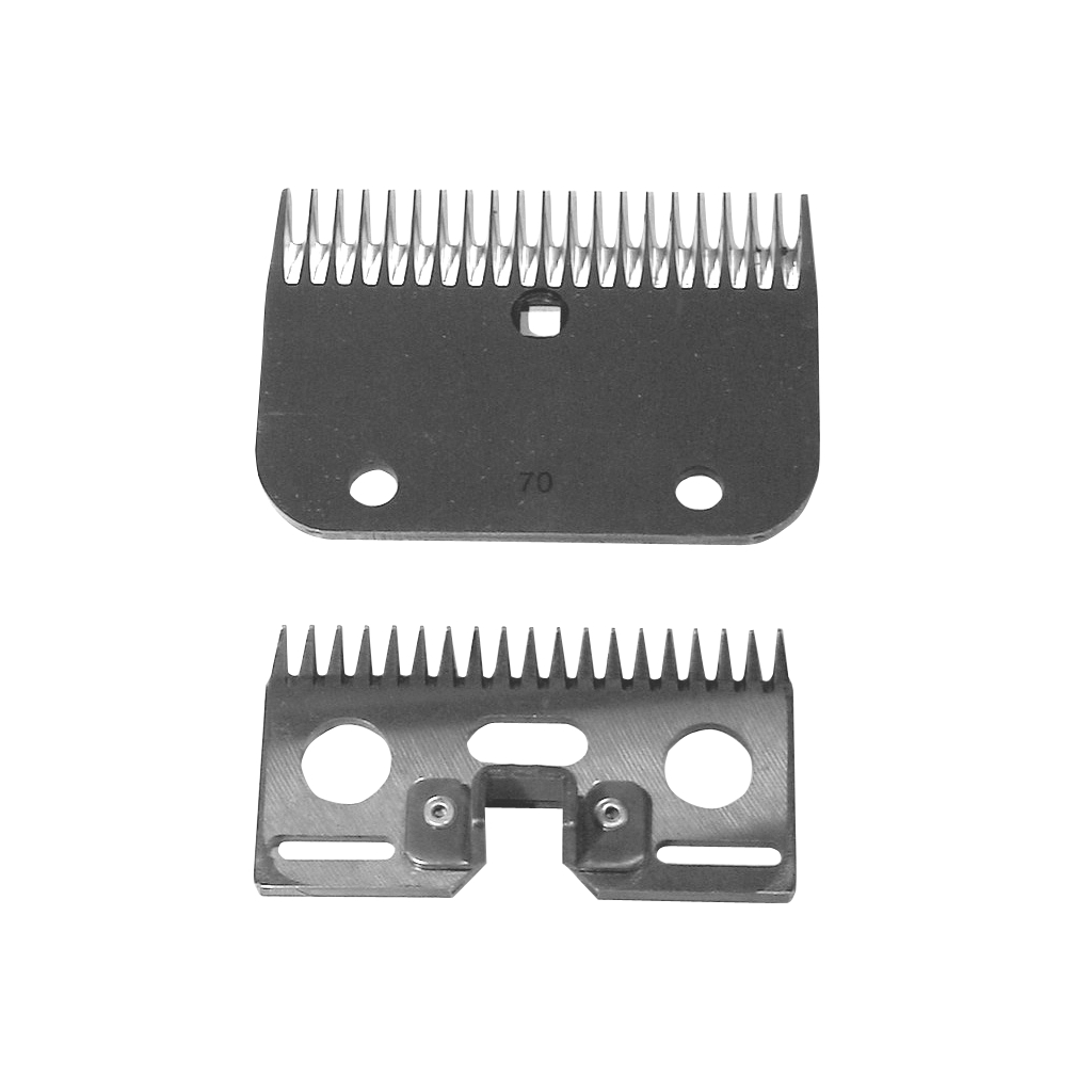 Constanta 2 Messenset