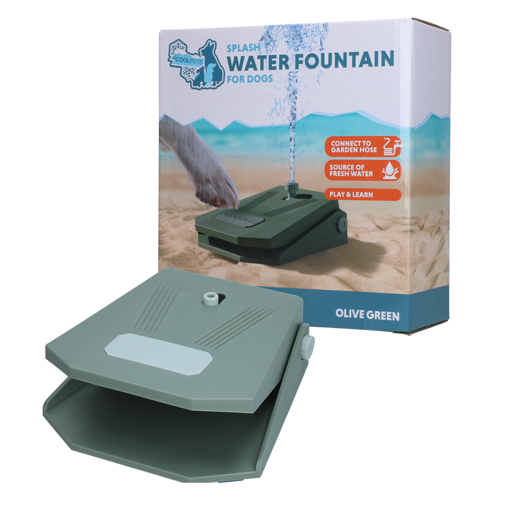 Coolpets Splash Water Fountain