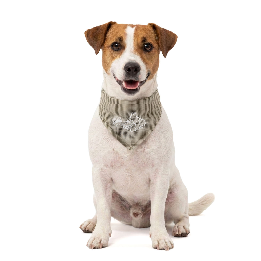Coolpets Cooling Bandana Beige