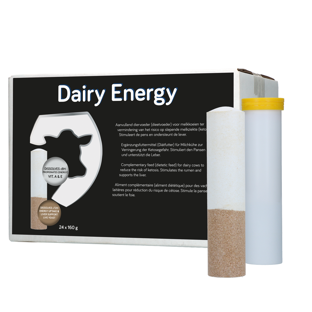 Dairy Energy Bolus