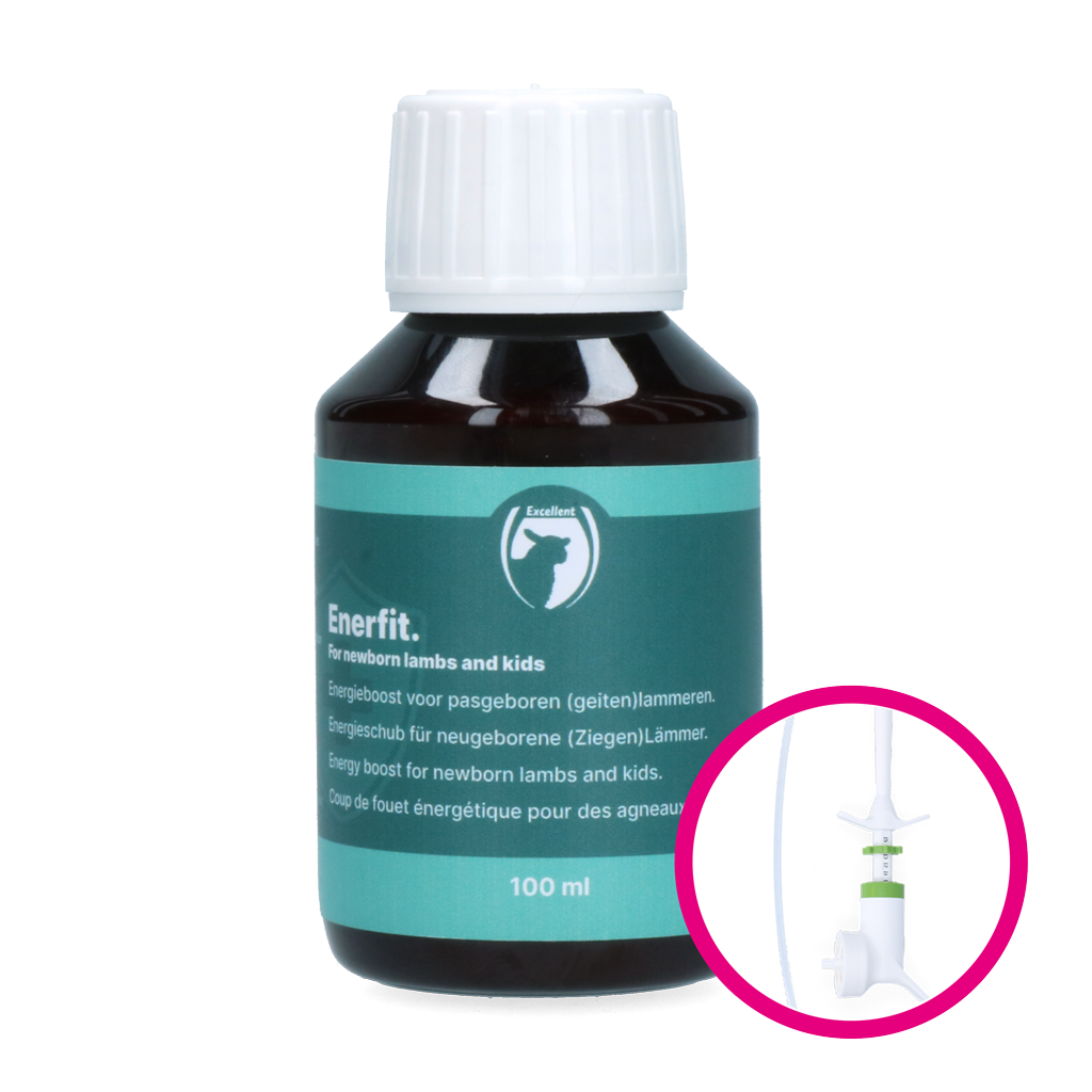 Excellent Enerfit lam/geit