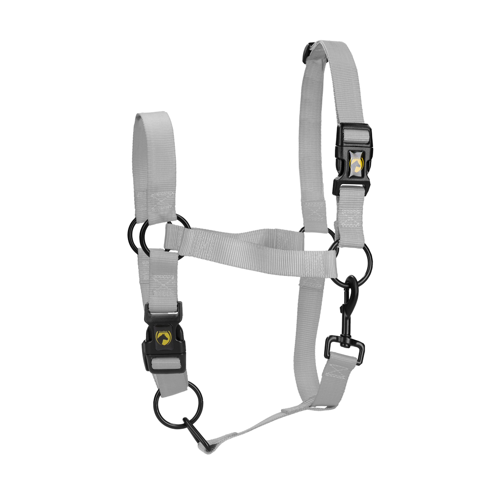 Excellent Essential Halster