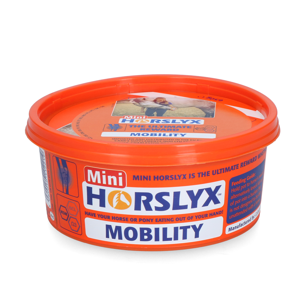 Horslyx Mini