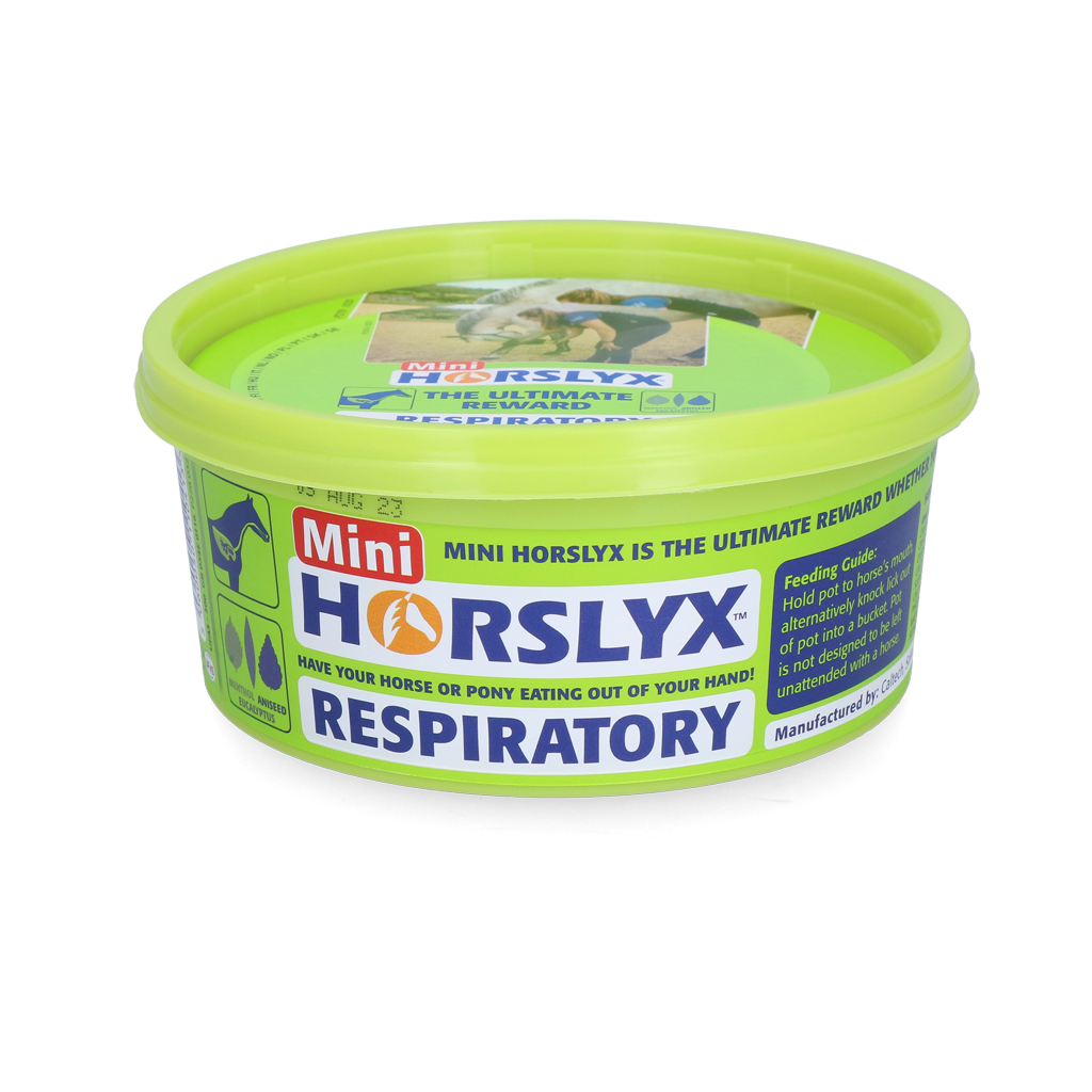 Horslyx Mini