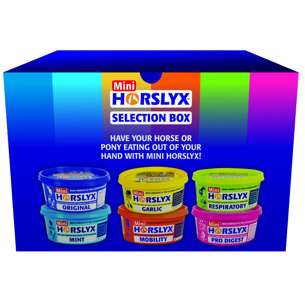 Horslyx Mini Selection Box
