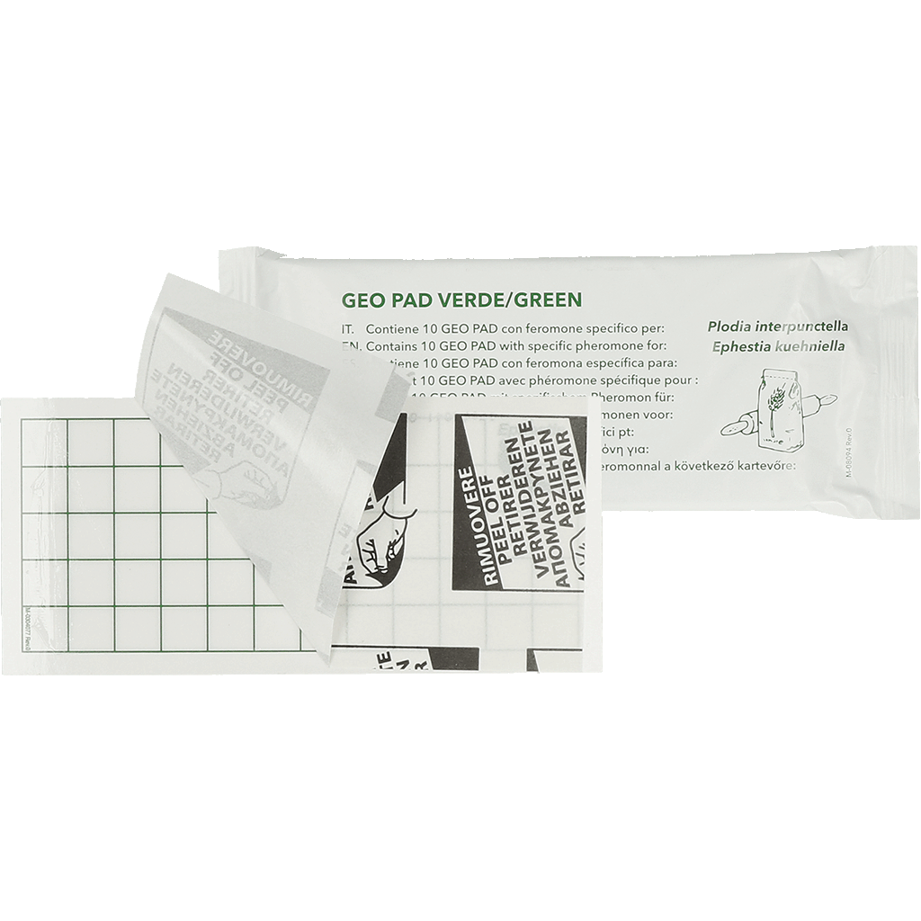 Geo Lijmplaat Levensmiddelenmot