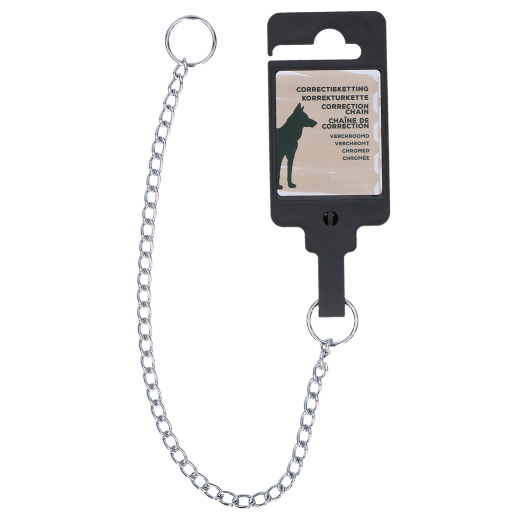 Correctieketting Verchroomd