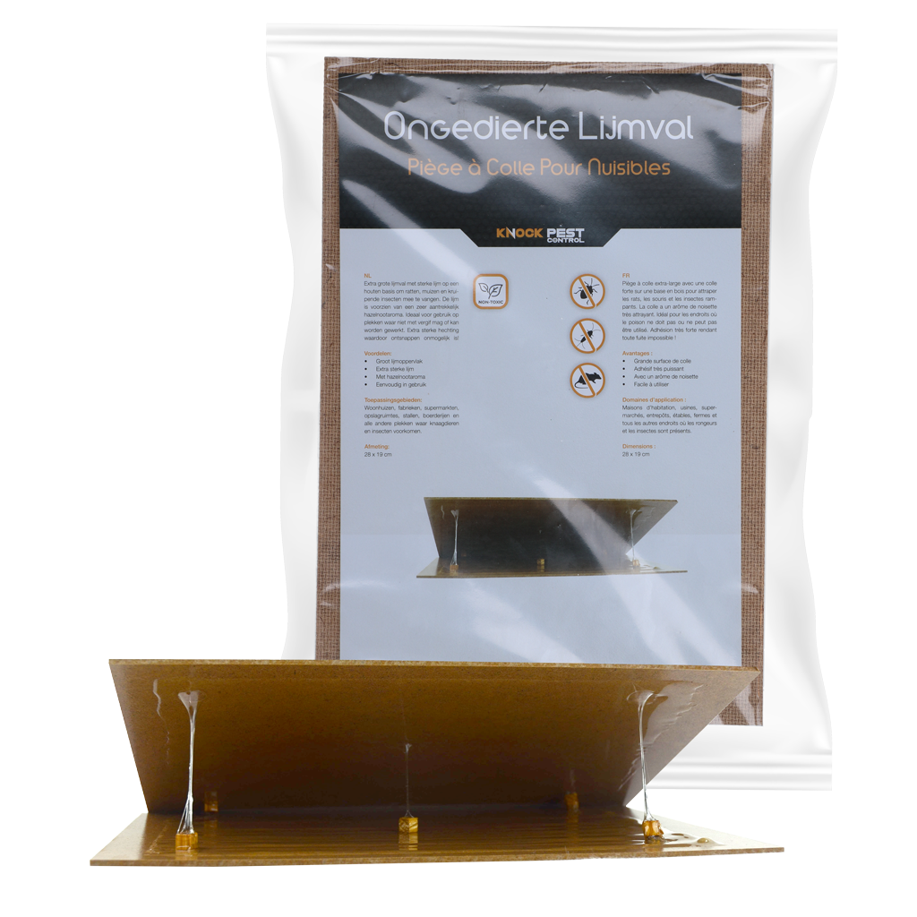 Knock Pest Ongedierte Lijmval