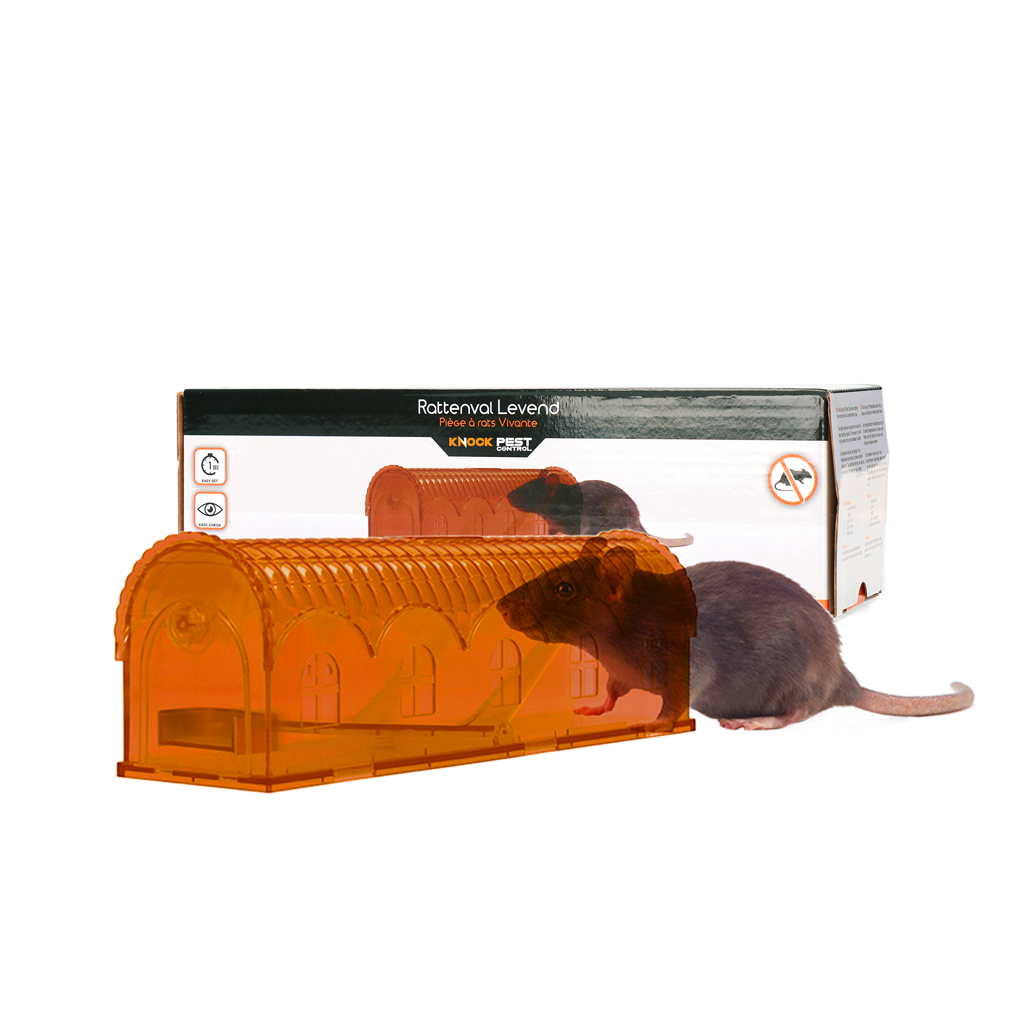 Knock Pest Rattenval Levend