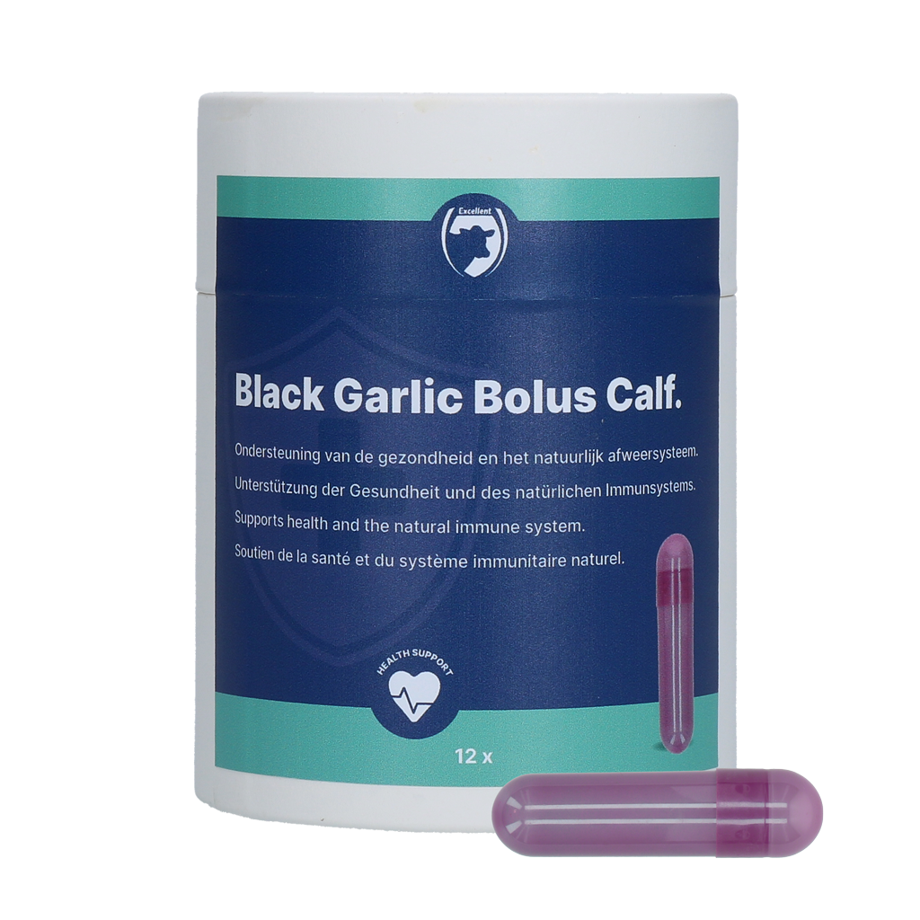 Excellent Black Garlic Bolus