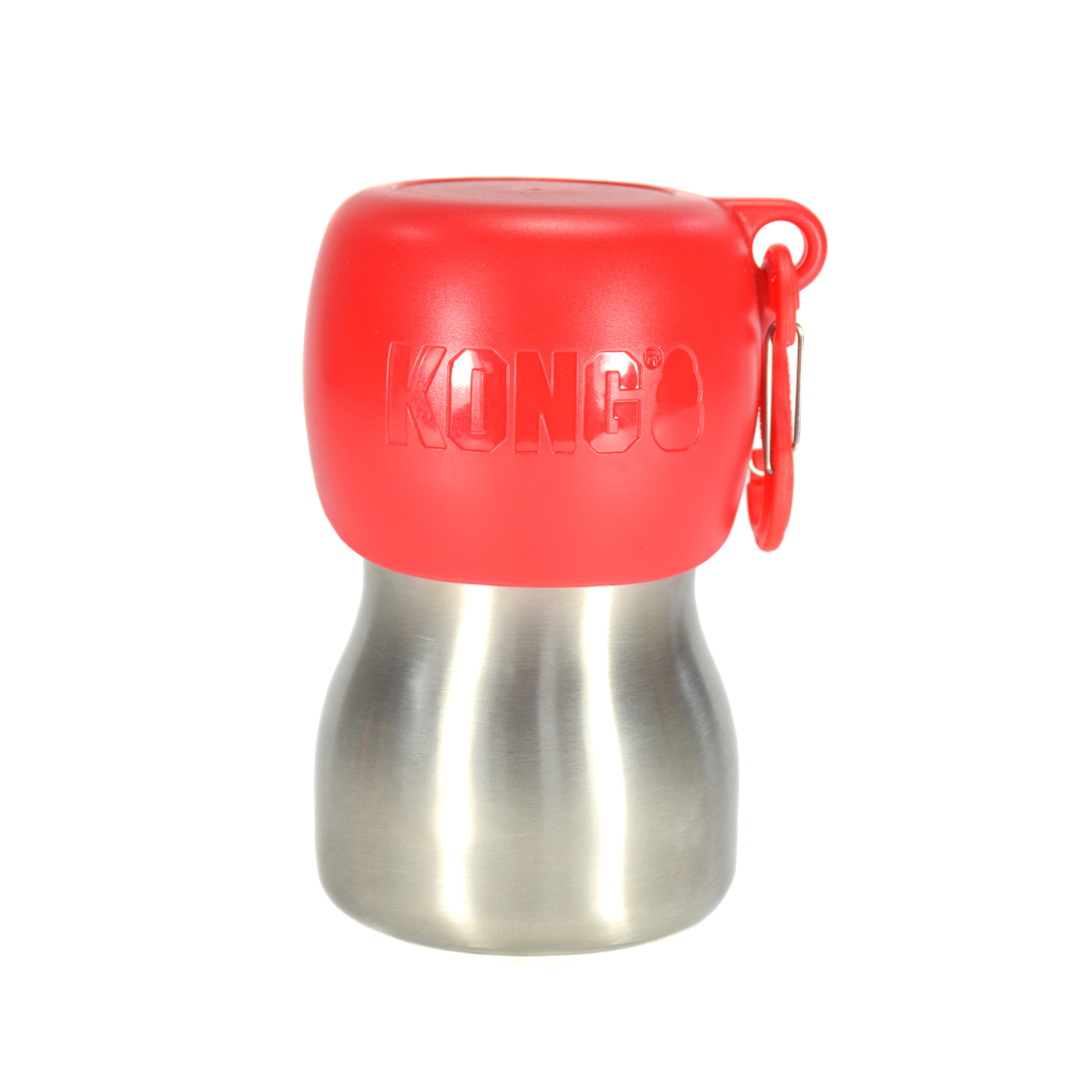 KONG H2O RVS Waterfles