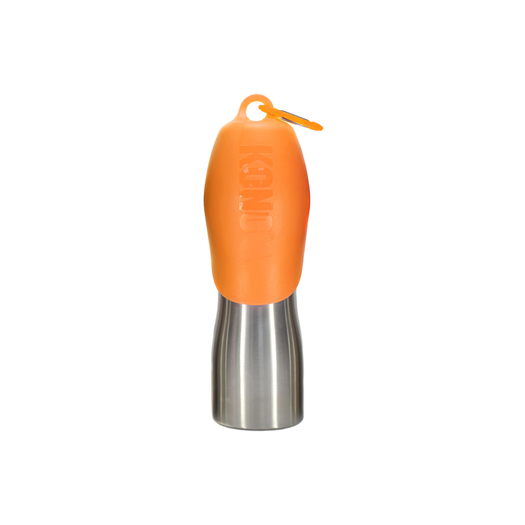 KONG H2O RVS Waterfles