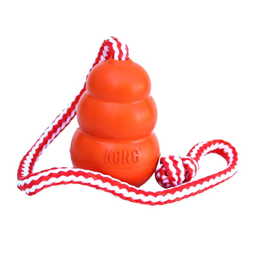 KONG Aqua