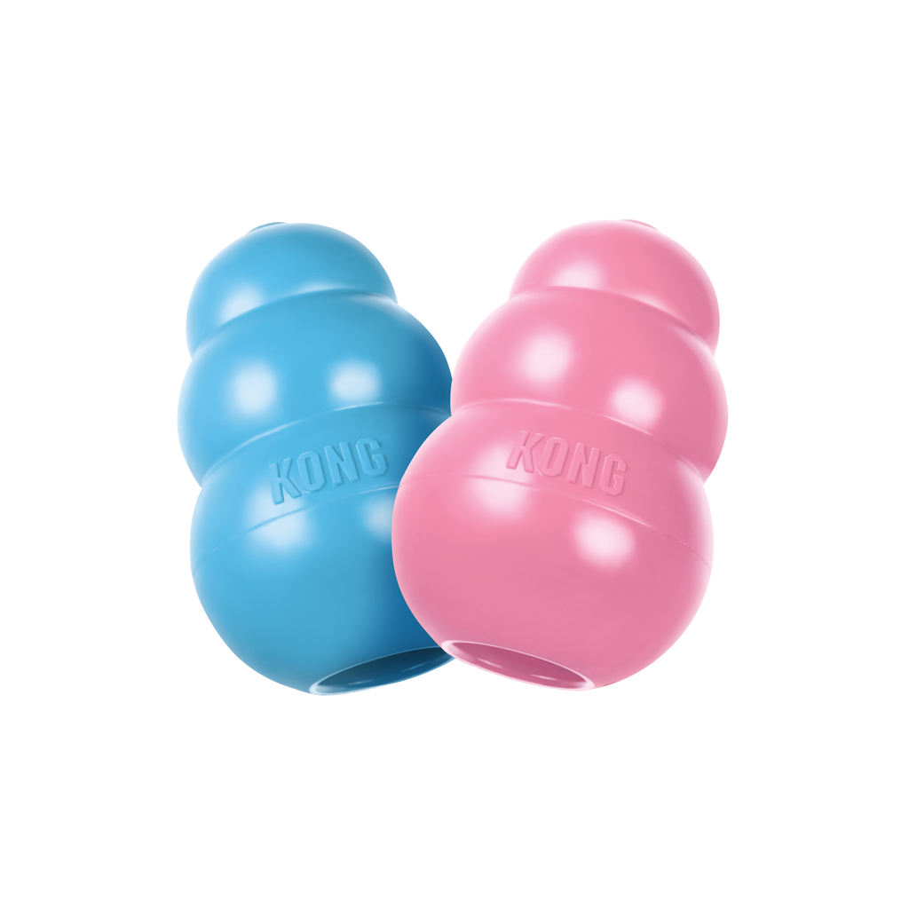 KONG Puppy Assorti