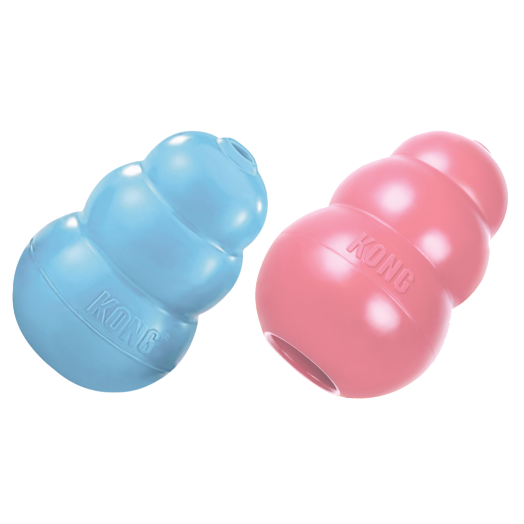 KONG Puppy Assorti