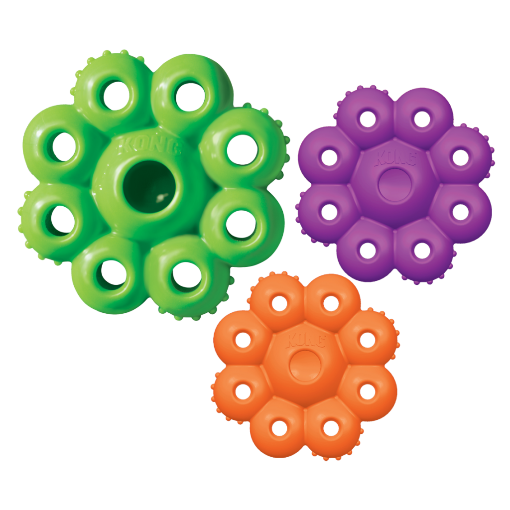 KONG Quest Star Pod