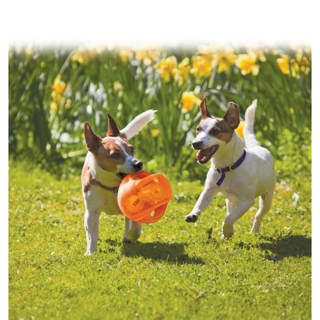 KONG Jumbler Ball Assorti