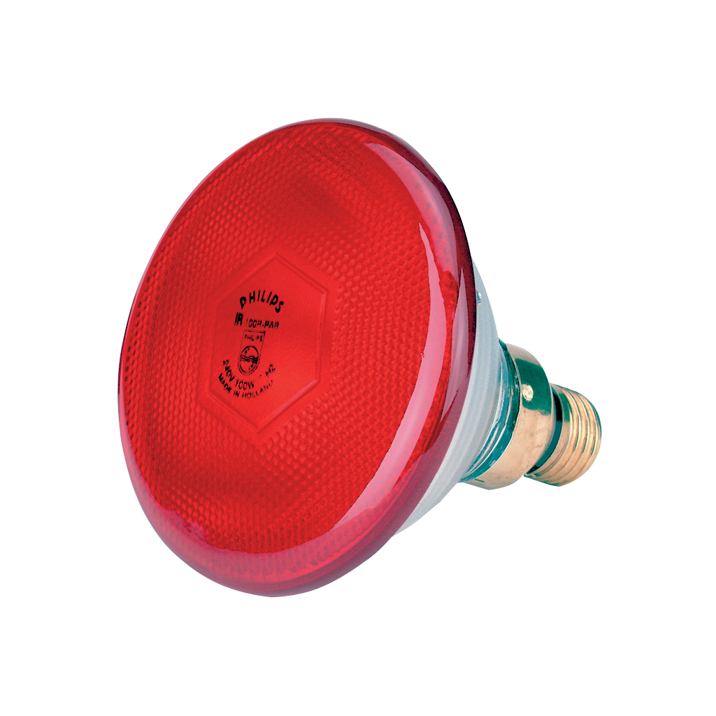 Spaarlamp