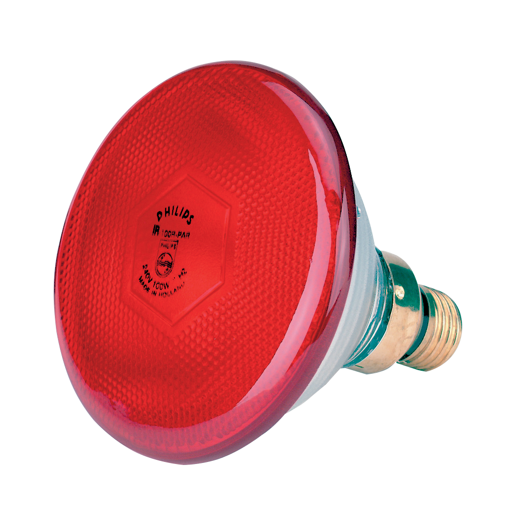 Spaarlamp
