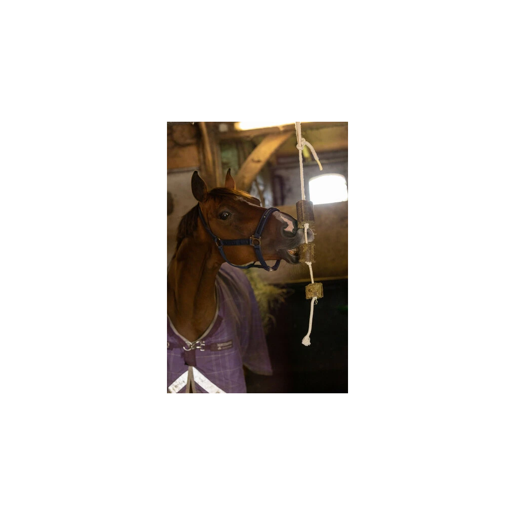 Lax Luzerne aan Speeltouw voor Paarden