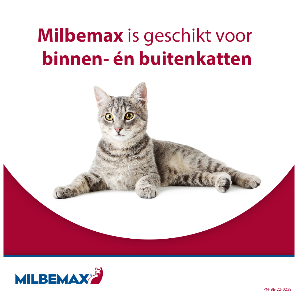 Milbemax Tabletten Kat Groot >2kg