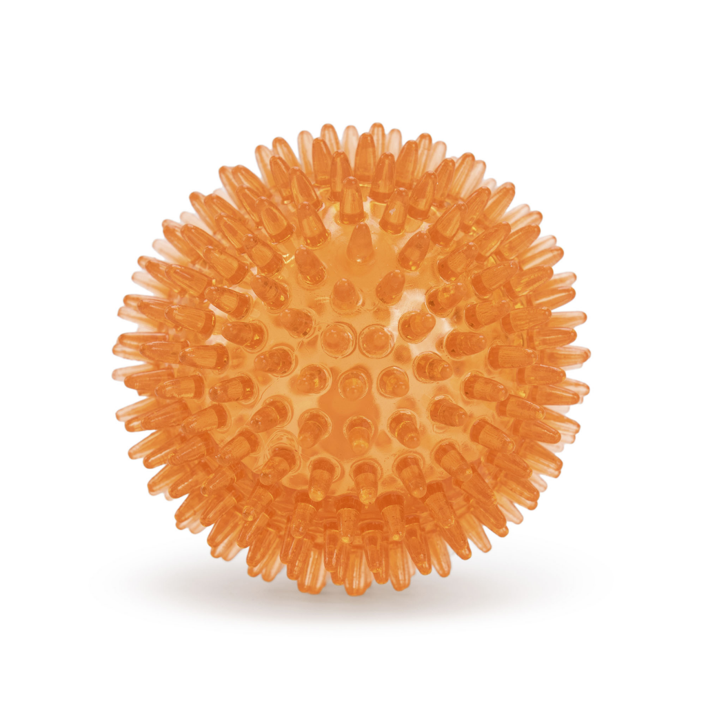 Oranje Egelbal