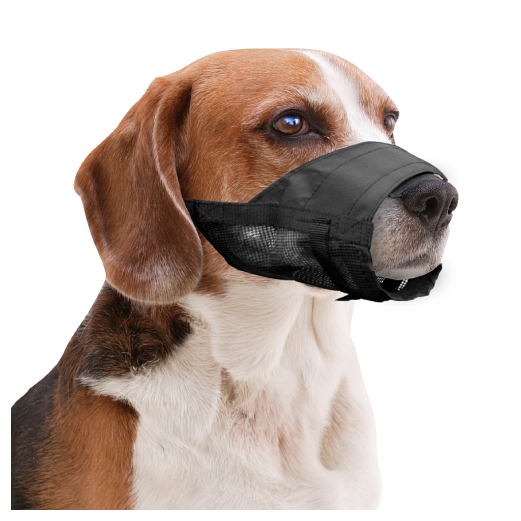 Pawise Adjustable Nylon Muzzle