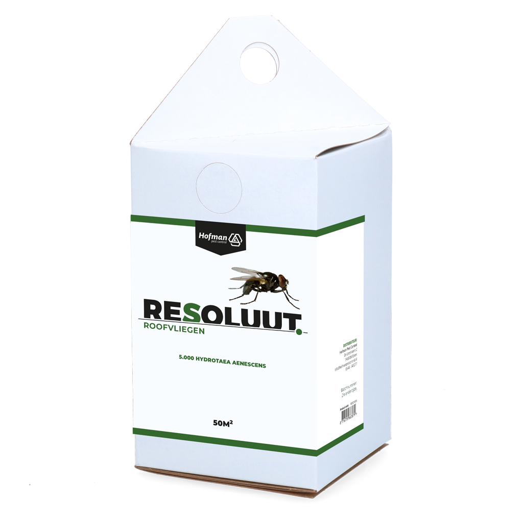 Resoluut Roofvliegen