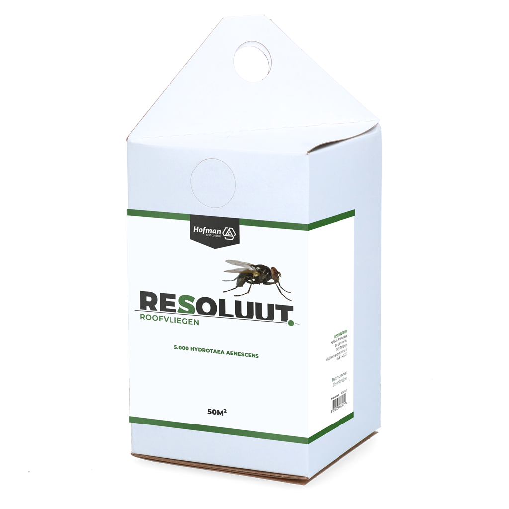 Resoluut Roofvliegen