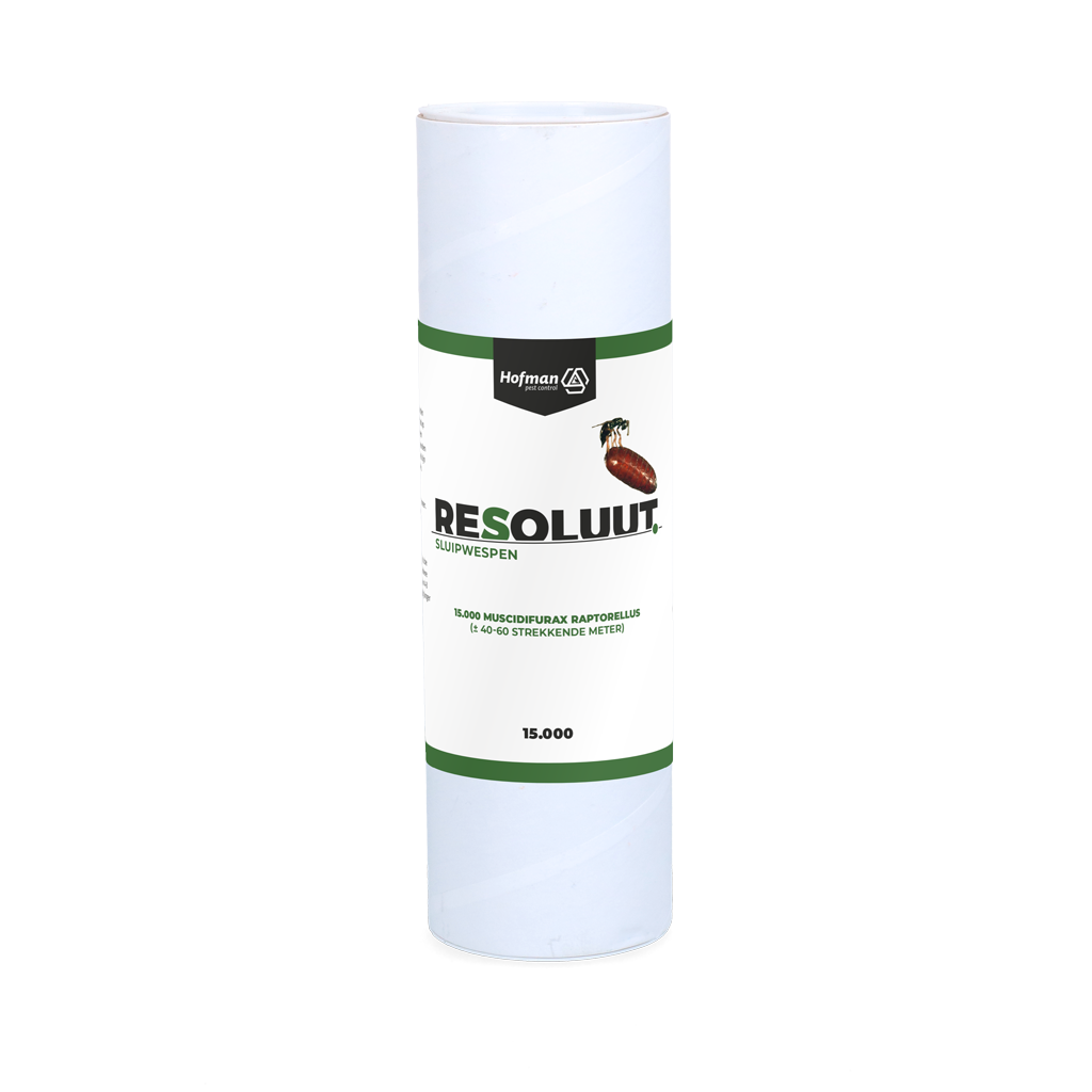 Resoluut Sluipwespen