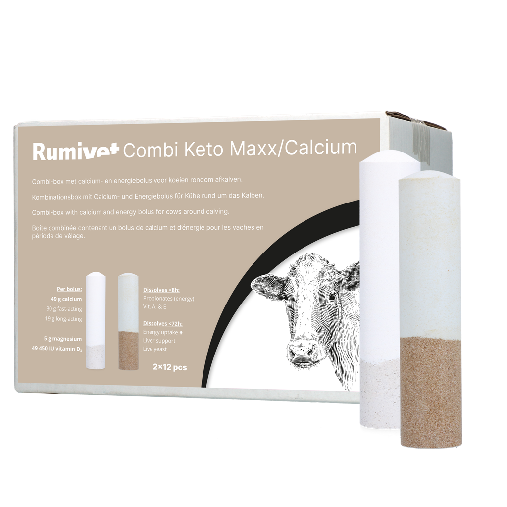 Rumivet Combi Keto Maxx/Calcium bolus