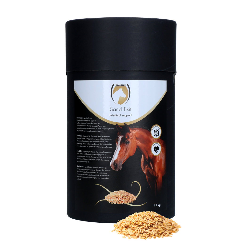 Excellent Horse Sand-Exit