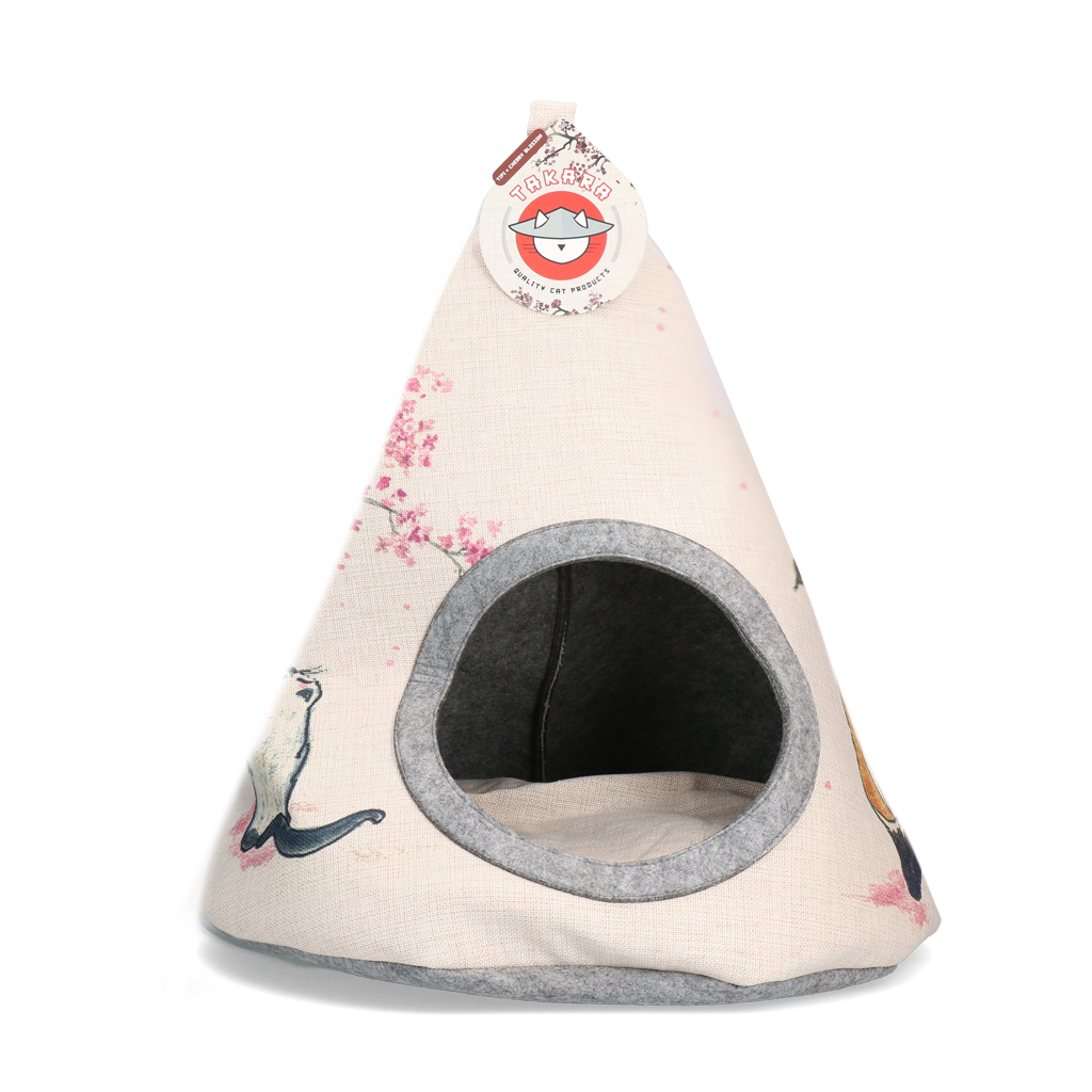 Takara Tipi
