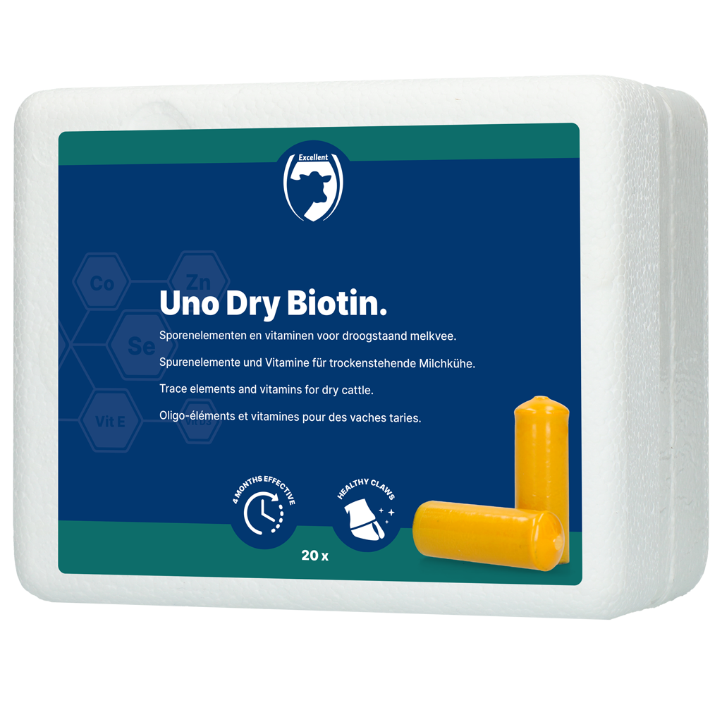 Excellent Uno Dry Biotin