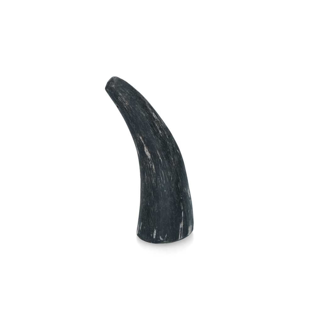Viking Horn