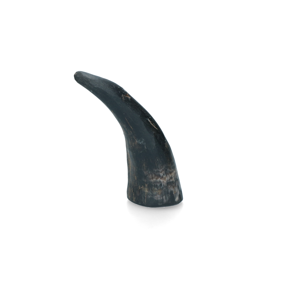 Viking Horn