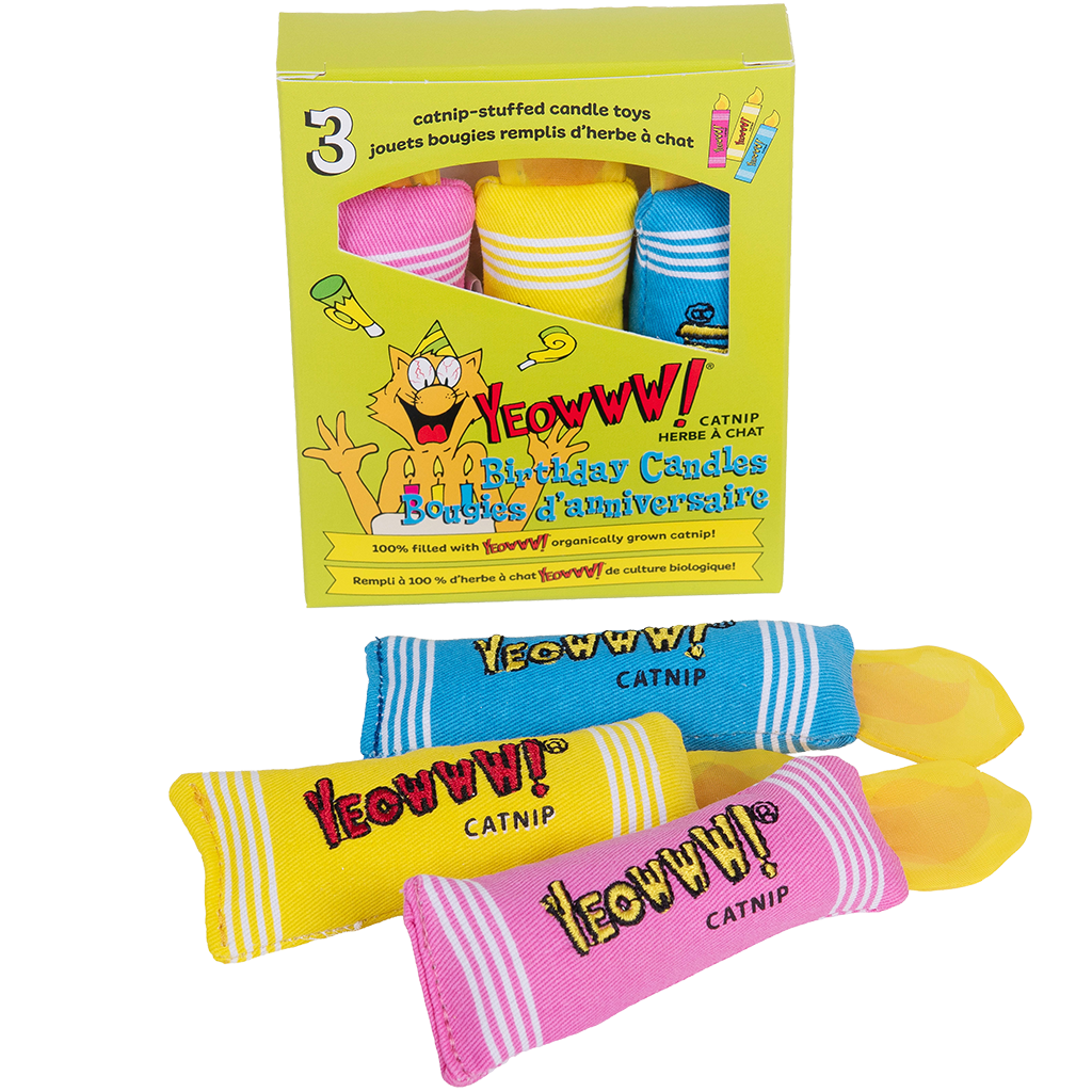 Yeowww! Birthday Candles