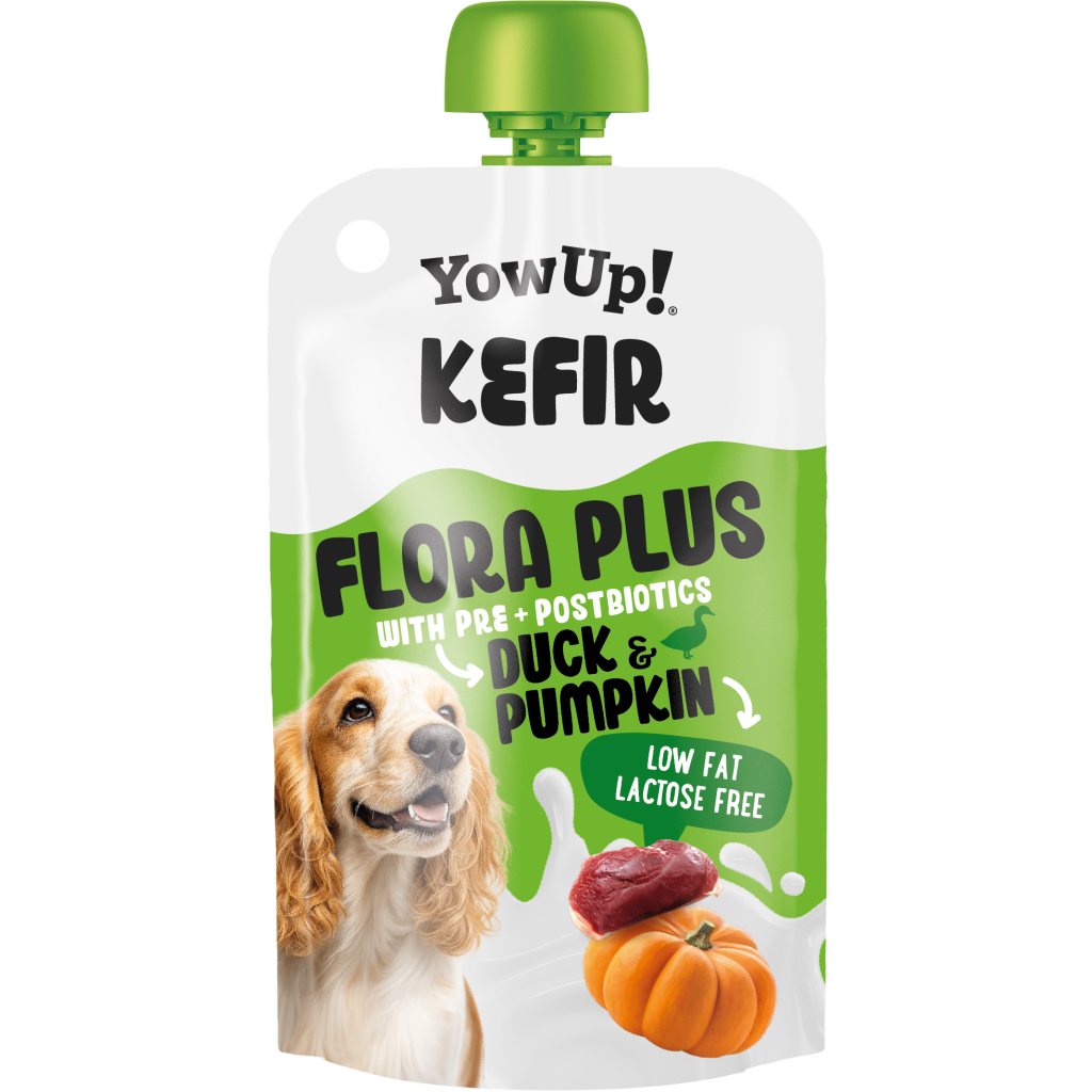 Yowup! Kefir