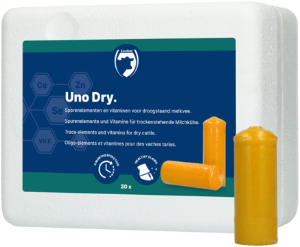 UNO Dry met Biotin